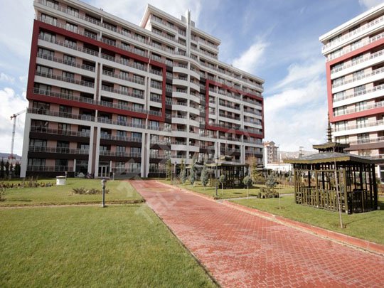 ?；⒅楸厣皾{怎樣“保存”？